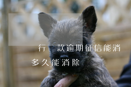 銀行貸款逾期征信能消(銀行貸款逾期上征信多久能消除)