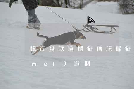 銀行貸款逾期征信記錄(征信有借款記錄沒(méi)逾期)