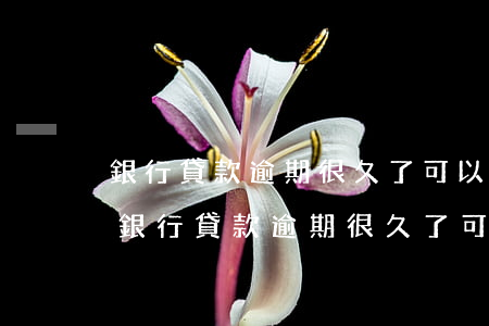 銀行貸款逾期很久了可以把利息減免了嗎-銀行貸款逾期很久了可以把利息減免了嗎