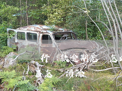 銀行貸款逾期忘還怎么辦(銀行貸款逾期還款后怎樣消除)