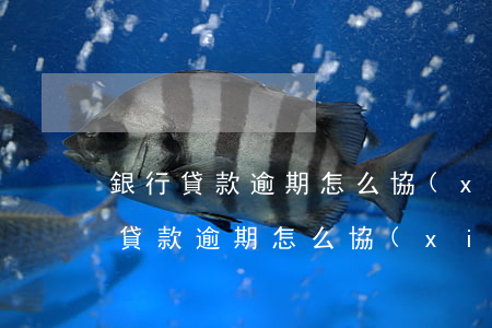 銀行貸款逾期怎么協(xié)商還款(銀行貸款逾期怎么協(xié)商還款)