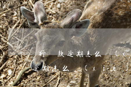 銀行貸款逾期怎么協(xié)商(銀行貸款逾期怎么協(xié)商停息還本)