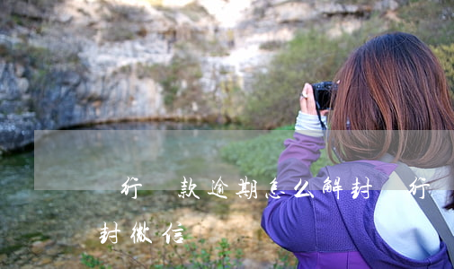 銀行貸款逾期怎么解封(銀行貸款逾期怎么解封微信)