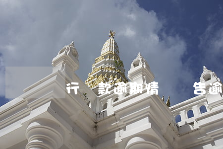 銀行貸款逾期情況匯告(逾期貸款情況說明)