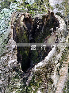 銀行貸款逾期打折還(銀行貸款逾期打折還)