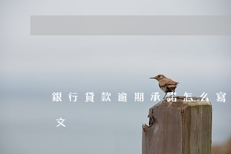 銀行貸款逾期承諾怎么寫(銀行貸款承諾書范文)