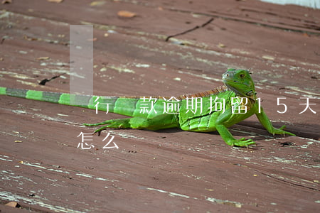 銀行貸款逾期拘留15天(拘留期間貸款逾期怎么辦)