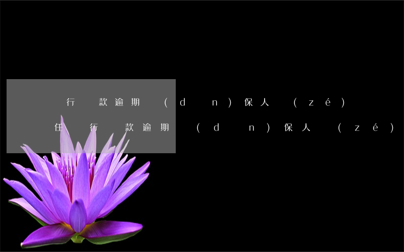銀行貸款逾期擔(dān)保人責(zé)任(銀行貸款逾期擔(dān)保人責(zé)任)