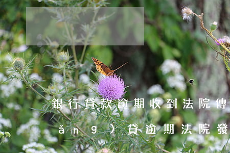 銀行貸款逾期收到法院傳票要怎么辦（網(wǎng)貸逾期法院發(fā)來傳票執(zhí)行通知書）