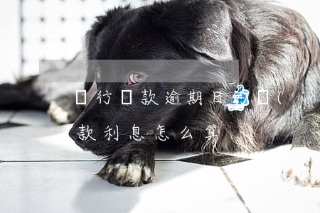銀行貸款逾期日的計(jì)算(銀行逾期貸款利息怎么算)