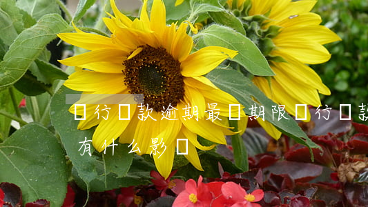 銀行貸款逾期最長期限(銀行貸款逾期幾個月有什么影響)