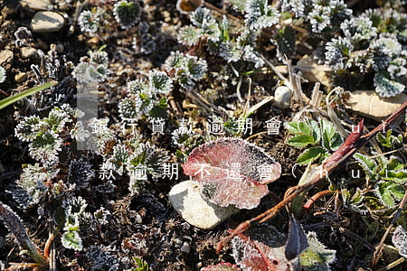 銀行貸款逾期會(huì)丟掉工作(銀行貸款逾期不還會(huì)怎樣)