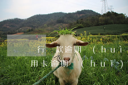 銀行貸款逾期會(huì)影響信用卡嗎（信用卡逾期會(huì)影響在還的房貸嗎）