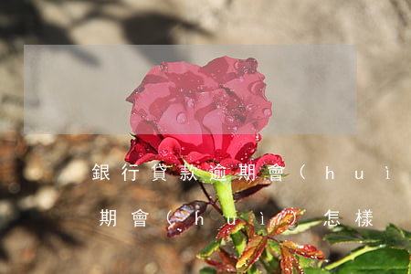 銀行貸款逾期會(huì)怎樣?(銀行貸款逾期會(huì)怎樣?)