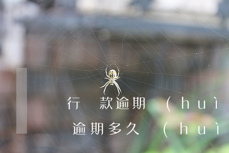 銀行貸款逾期會(huì)立案嗎(銀行信用貸逾期多久會(huì)立案處理)