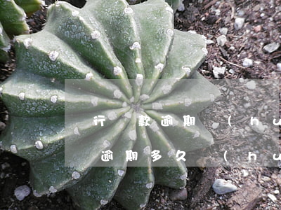 銀行貸款逾期會(huì)被起訴嗎(銀行信貸逾期多久會(huì)被起訴)