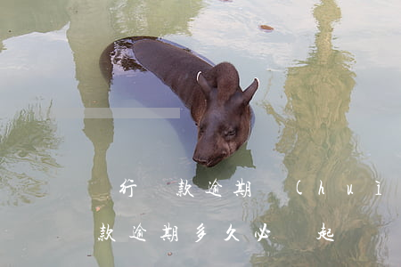 銀行貸款逾期會(huì)被起訴嗎（銀行貸款逾期多久必須起訴）