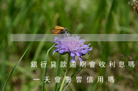 銀行貸款逾期會收利息嗎(銀行貸款利息逾期一天會影響信用嗎)