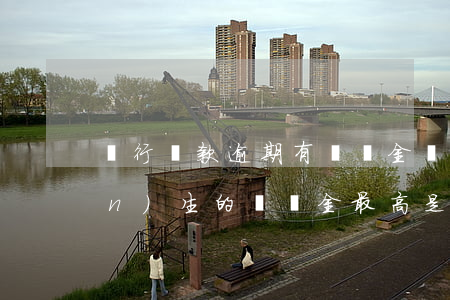 銀行貸款逾期有滯納金(銀行貸款產(chǎn)生的滯納金最高是多少)
