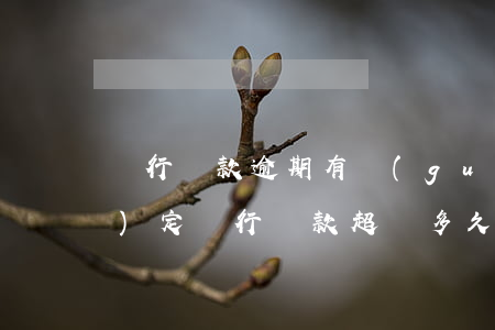 銀行貸款逾期有關(guān)規(guī)定(銀行貸款超過多久算逾期)