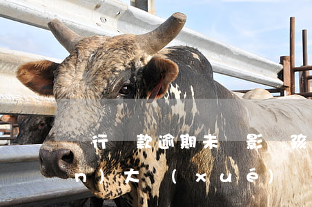 銀行貸款逾期未還影響孩子上重點(diǎn)大學(xué)嗎-銀行貸款逾期會(huì)影響孩子上大學(xué)嗎