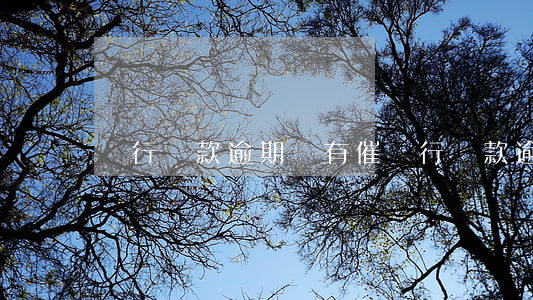 銀行貸款逾期沒有催(銀行貸款逾期了)