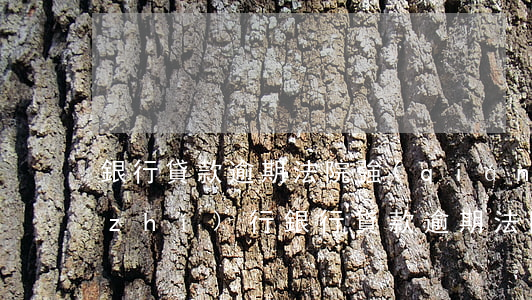 銀行貸款逾期法院強(qiáng)制執(zhí)行(銀行貸款逾期法院強(qiáng)制執(zhí)行不留生活費(fèi))