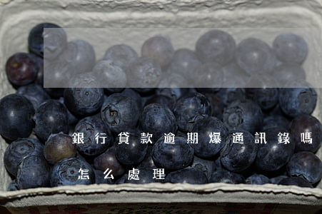 銀行貸款逾期爆通訊錄嗎(貸款公司爆通訊錄怎么處理)