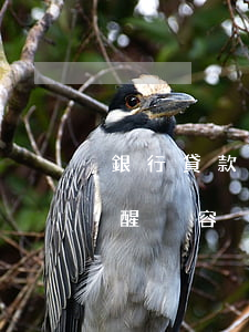 銀行貸款逾期短信內容(銀行房貸逾期短信提醒內容)