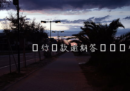 銀行貸款逾期答辯詞(銀行貸款逾期答辯詞)