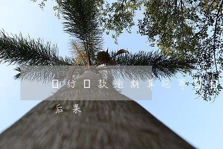 銀行貸款逾期算犯罪嗎(銀行貸款逾期有什么后果)