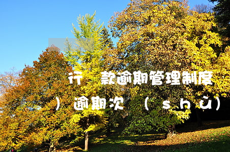 銀行貸款逾期管理制度(銀行貸款對(duì)逾期次數(shù)的要求)
