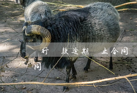 銀行貸款逾期終止合同(銀行貸款逾期終止合同)