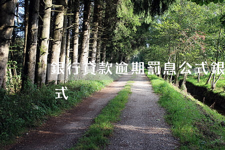 銀行貸款逾期罰息公式(銀行貸款逾期罰息公式)