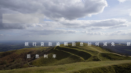 銀行貸款逾期罰息如何減免-銀行逾期貸款罰息利率