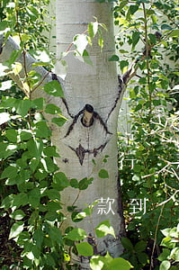 銀行貸款逾期能出國(guó)嗎(欠銀行貸款到國(guó)外什么后果)