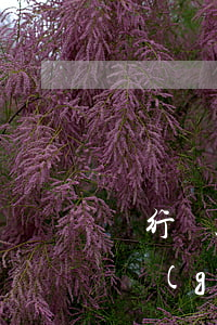 銀行貸款逾期能當(dāng)法人嗎(法人個(gè)人貸款逾期對公司有影響嗎)