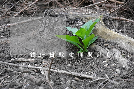 銀行貸款逾期與計(jì)算方式