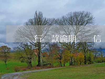 銀行貸款逾期與誠信(誠信金融說我逾期)