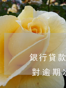 銀行貸款逾期處罰規(guī)定(銀行貸款對逾期次數(shù)的要求)