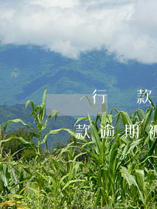 銀行貸款逾期被起訴了該怎么處理-銀行貸款逾期被起訴了該怎么處理呢