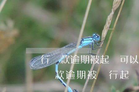 銀行貸款逾期被起訴可以調(diào)解嗎（貸款逾期被銀行起訴更好協(xié)商）
