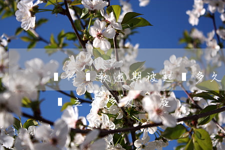 銀行貸款逾期被起訴多久開庭(貸款逾期被起訴立案多久開庭)