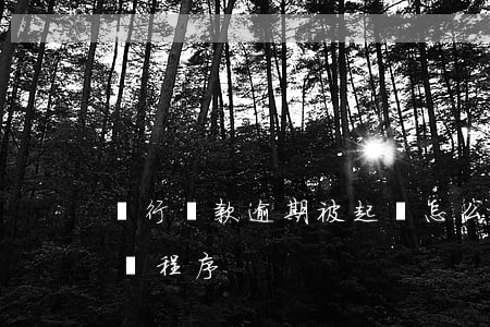 銀行貸款逾期被起訴怎么辦(銀行貸款逾期起訴程序)