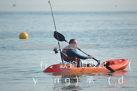 銀行貸款逾期被起訴擔(dān)保人應(yīng)承擔(dān)什么責(zé)任