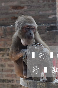 銀行貸款逾期被起訴會(huì)坐牢嗎(銀行貸款逾期被起訴會(huì)坐牢嗎)