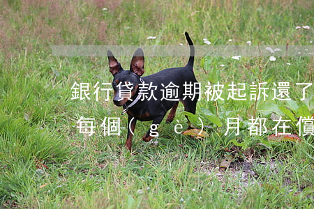 銀行貸款逾期被起訴還了本金(銀行貸款逾期,每個(gè)月都在償還,會被起訴嗎)
