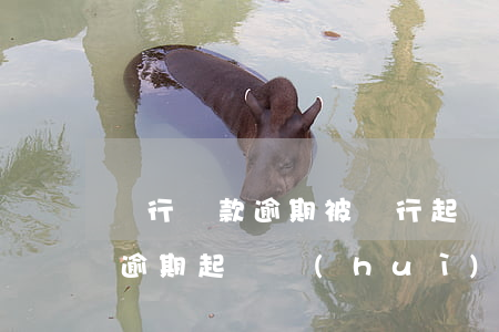 銀行貸款逾期被銀行起訴了,怎么辦（銀行貸款逾期起訴會(huì)怎么樣）