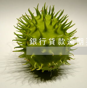 銀行貸款逾期要坐牢嗎(銀行貸款能逾期嗎)