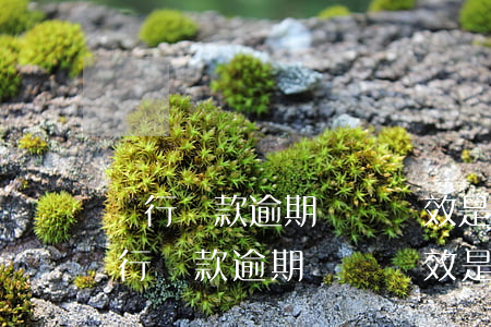 銀行貸款逾期訴訟時效是2年還是3年-銀行貸款逾期訴訟時效是2年還是3年呢